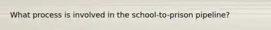 What process is involved in the school-to-prison pipeline?