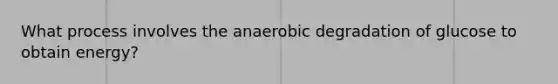 What process involves the anaerobic degradation of glucose to obtain energy?