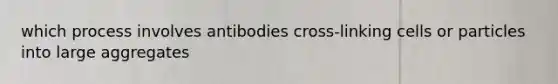 which process involves antibodies cross-linking cells or particles into large aggregates