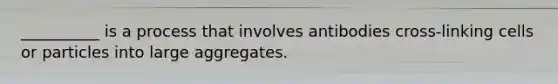 __________ is a process that involves antibodies cross-linking cells or particles into large aggregates.