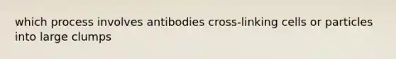 which process involves antibodies cross-linking cells or particles into large clumps