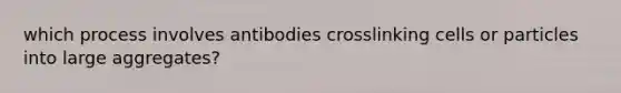 which process involves antibodies crosslinking cells or particles into large aggregates?