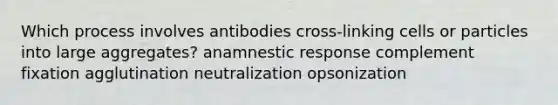 Which process involves antibodies cross-linking cells or particles into large aggregates? anamnestic response complement fixation agglutination neutralization opsonization