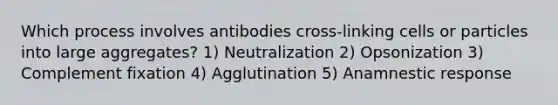 Which process involves antibodies cross-linking cells or particles into large aggregates? 1) Neutralization 2) Opsonization 3) Complement fixation 4) Agglutination 5) Anamnestic response