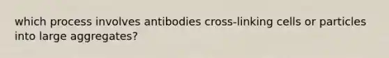 which process involves antibodies cross-linking cells or particles into large aggregates?