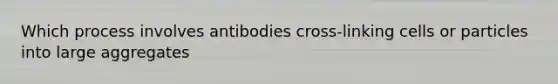 Which process involves antibodies cross-linking cells or particles into large aggregates