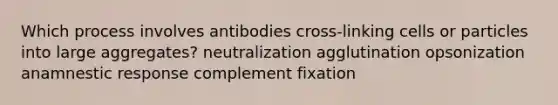 Which process involves antibodies cross-linking cells or particles into large aggregates? neutralization agglutination opsonization anamnestic response complement fixation