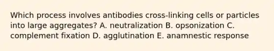 Which process involves antibodies cross-linking cells or particles into large aggregates? A. neutralization B. opsonization C. complement fixation D. agglutination E. anamnestic response