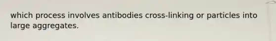 which process involves antibodies cross-linking or particles into large aggregates.