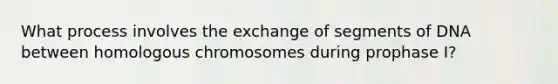 What process involves the exchange of segments of DNA between homologous chromosomes during prophase I?