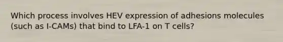 Which process involves HEV expression of adhesions molecules (such as I-CAMs) that bind to LFA-1 on T cells?