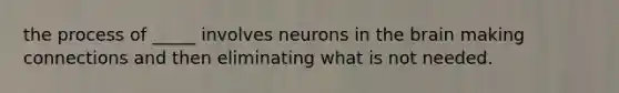 the process of _____ involves neurons in the brain making connections and then eliminating what is not needed.