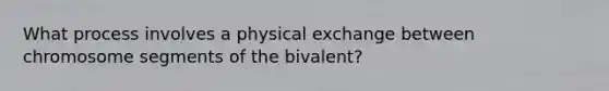 What process involves a physical exchange between chromosome segments of the bivalent?