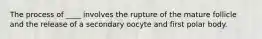 The process of ____ involves the rupture of the mature follicle and the release of a secondary oocyte and first polar body.