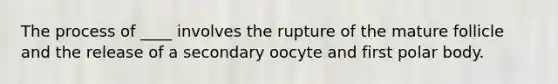 The process of ____ involves the rupture of the mature follicle and the release of a secondary oocyte and first polar body.