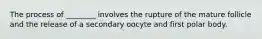 The process of ________ involves the rupture of the mature follicle and the release of a secondary oocyte and first polar body.