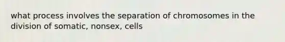 what process involves the separation of chromosomes in the division of somatic, nonsex, cells