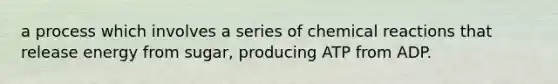 a process which involves a series of chemical reactions that release energy from sugar, producing ATP from ADP.