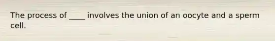 The process of ____ involves the union of an oocyte and a sperm cell.