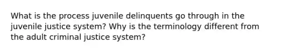 What is the process juvenile delinquents go through in the juvenile justice system? Why is the terminology different from the adult criminal justice system?