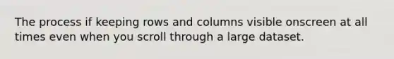 The process if keeping rows and columns visible onscreen at all times even when you scroll through a large dataset.