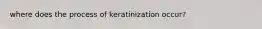 where does the process of keratinization occur?