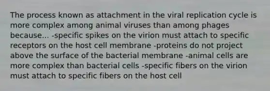 The process known as attachment in the viral replication cycle is more complex among animal viruses than among phages because... -specific spikes on the virion must attach to specific receptors on the host cell membrane -proteins do not project above the surface of the bacterial membrane -animal cells are more complex than bacterial cells -specific fibers on the virion must attach to specific fibers on the host cell