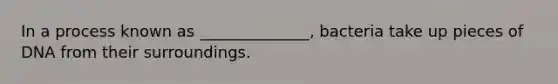 In a process known as ______________, bacteria take up pieces of DNA from their surroundings.