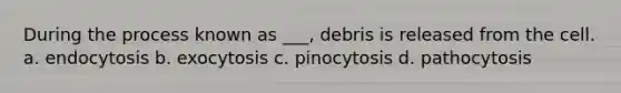 During the process known as ___, debris is released from the cell. a. endocytosis b. exocytosis c. pinocytosis d. pathocytosis