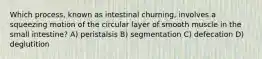 Which process, known as intestinal churning, involves a squeezing motion of the circular layer of smooth muscle in the small intestine? A) peristalsis B) segmentation C) defecation D) deglutition