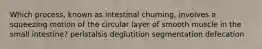 Which process, known as intestinal churning, involves a squeezing motion of the circular layer of smooth muscle in the small intestine? peristalsis deglutition segmentation defecation