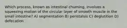 Which process, known as intestinal churning, involves a squeezing motion of the circular layer of smooth muscle in the small intestine? A) segmentation B) peristalsis C) deglutition D) defecation