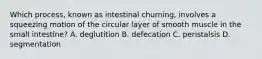 Which process, known as intestinal churning, involves a squeezing motion of the circular layer of smooth muscle in the small intestine? A. deglutition B. defecation C. peristalsis D. segmentation