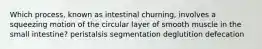 Which process, known as intestinal churning, involves a squeezing motion of the circular layer of smooth muscle in the small intestine? peristalsis segmentation deglutition defecation