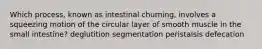 Which process, known as intestinal churning, involves a squeezing motion of the circular layer of smooth muscle in the small intestine? deglutition segmentation peristalsis defecation