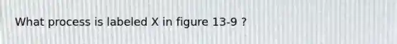 What process is labeled X in figure 13-9 ?