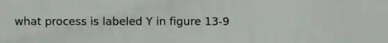 what process is labeled Y in figure 13-9