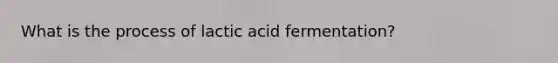 What is the process of lactic acid fermentation?