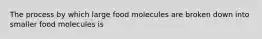 The process by which large food molecules are broken down into smaller food molecules is