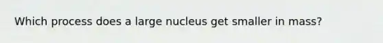 Which process does a large nucleus get smaller in mass?