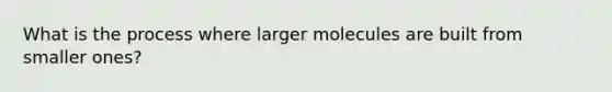 What is the process where larger molecules are built from smaller ones?