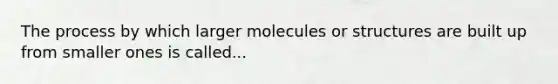 The process by which larger molecules or structures are built up from smaller ones is called...