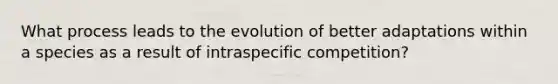 What process leads to the evolution of better adaptations within a species as a result of intraspecific competition?