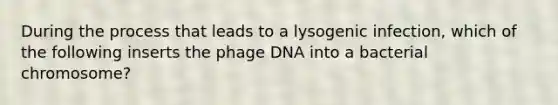 During the process that leads to a lysogenic infection, which of the following inserts the phage DNA into a bacterial chromosome?