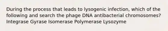 During the process that leads to lysogenic infection, which of the following and search the phage DNA antibacterial chromosomes? Integrase Gyrase Isomerase Polymerase Lysozyme