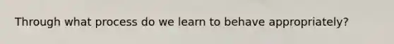 Through what process do we learn to behave appropriately?