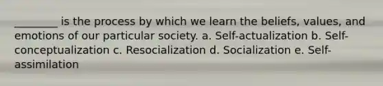 ________ is the process by which we learn the beliefs, values, and emotions of our particular society. a. Self-actualization b. Self-conceptualization c. Resocialization d. Socialization e. Self-assimilation