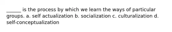 ______ is the process by which we learn the ways of particular groups. a. self actualization b. socialization c. culturalization d. self-conceptualization