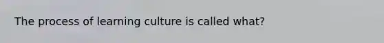 The process of learning culture is called what?