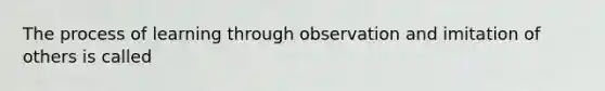 The process of learning through observation and imitation of others is called